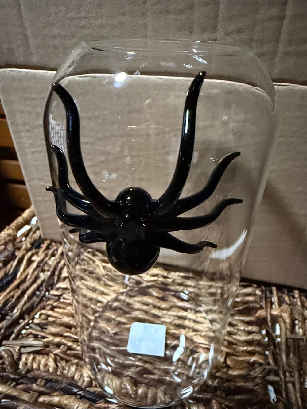 West Elm Clear Glass Bud Vase with Black Spider 🕷️ Accent BNIB